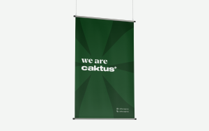Branding and Visual Identity for Caktus Agency