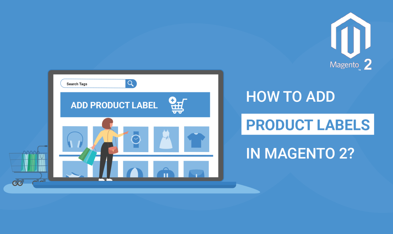 How to Add Magento 2 Product Label?
