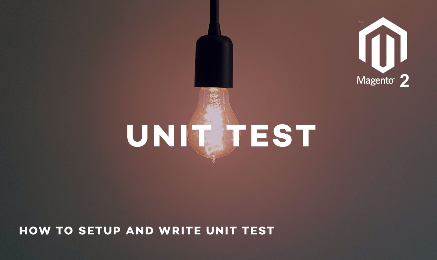 Magento 2 : How to setup and write unit test?