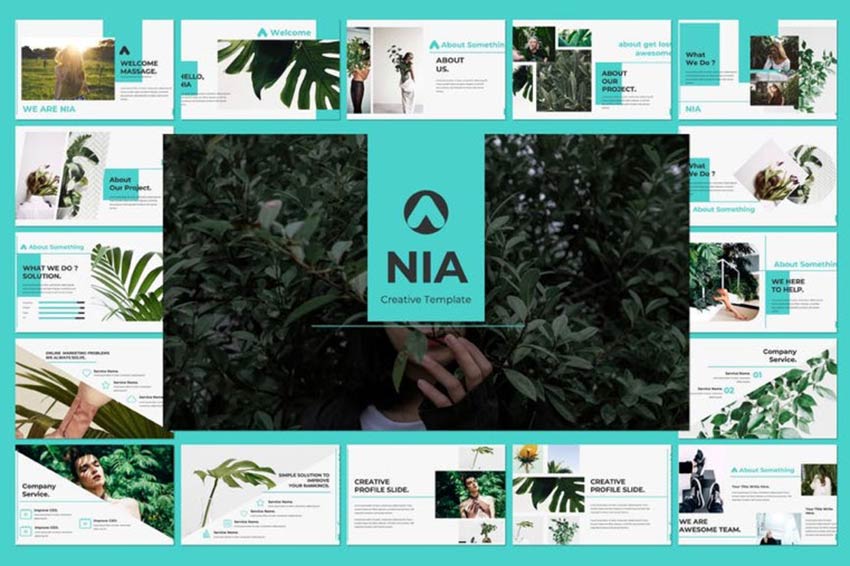 Example of Nia Pitch Deck