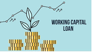 Five Ways Working Capital Loans Can Work for Your Business