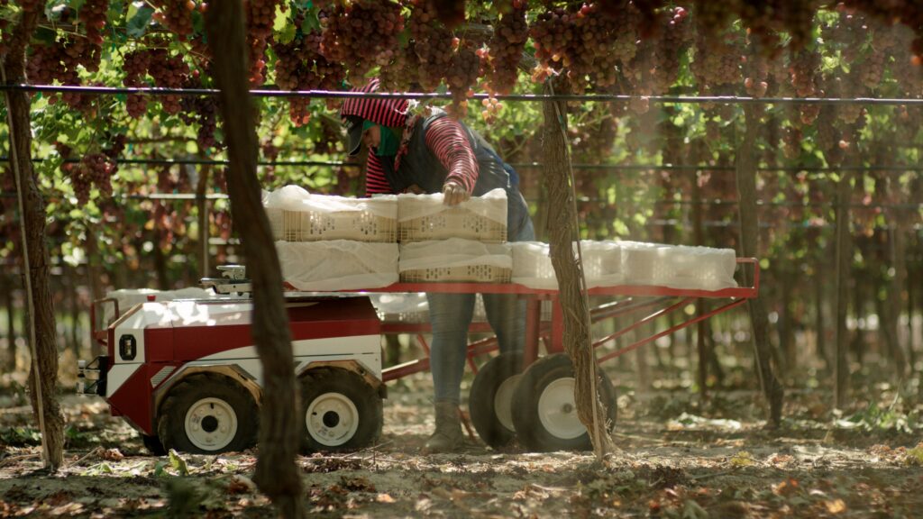 future-acres-launches-with-the-arrival-of-crop-transporting-robot-carry