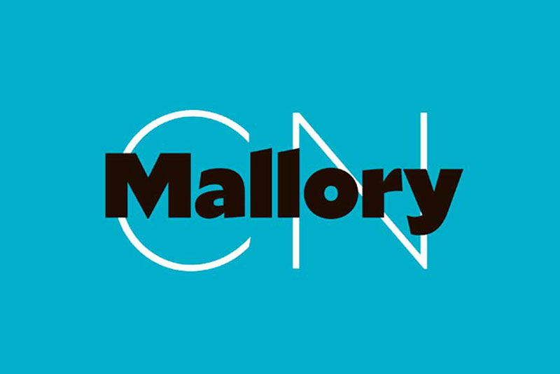 Mallory The Roblox font: What font does Roblox use?         