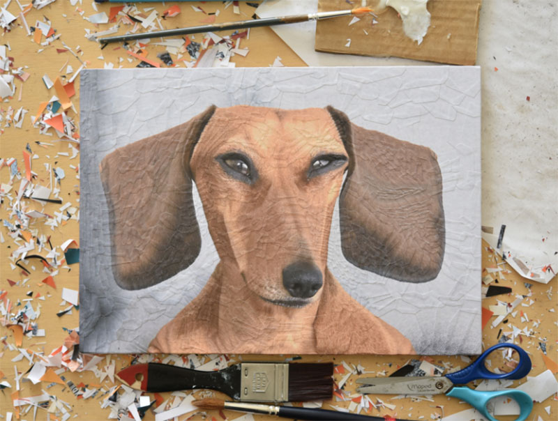 George-the-Sausage-studio Awesome dog illustration images to inspire you