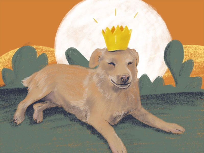 Dog-with-crown Awesome dog illustration images to inspire you