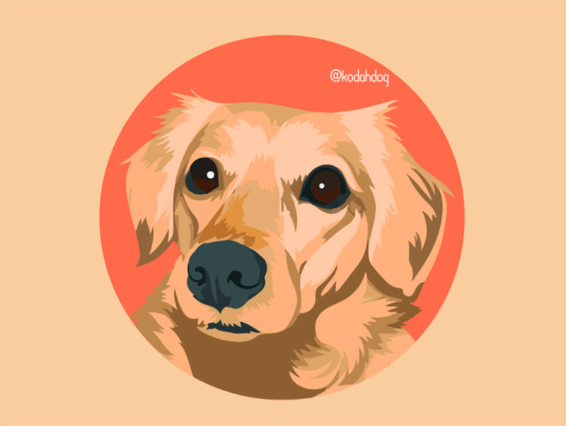My-little-dog-Kodah-Hi-Dribbble Awesome dog illustration images to inspire you