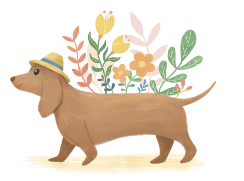 Doggie-_-florals Awesome dog illustration images to inspire you