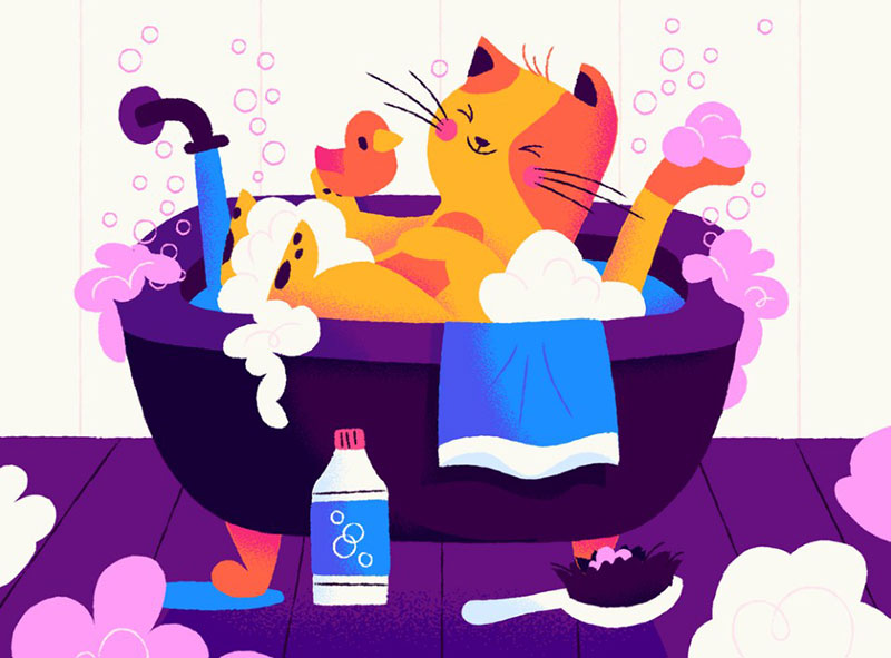 Soaps-and-suds Beautiful cat illustration examples to check out
