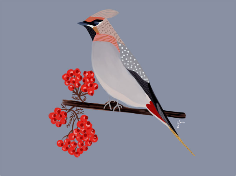 Winter-Bird-Illustration Beautifully designed winter illustration examples for you