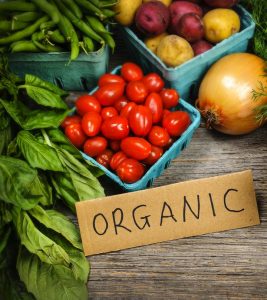How To Start An Organic Food Store Business In India?