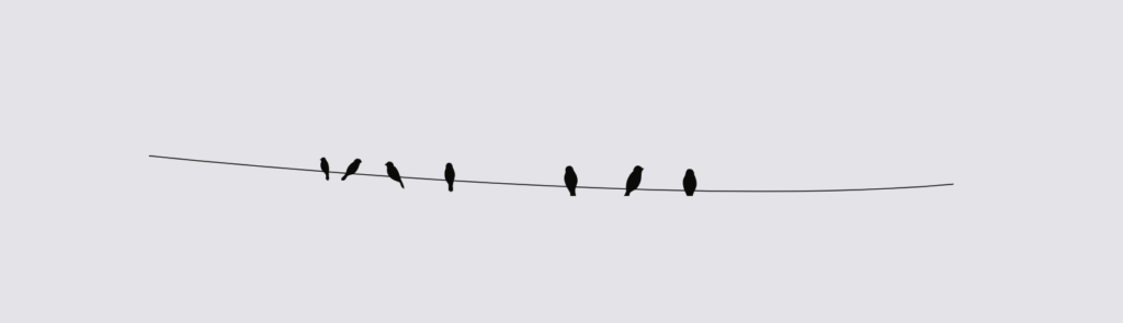 not-your-typical-horizontal-rules