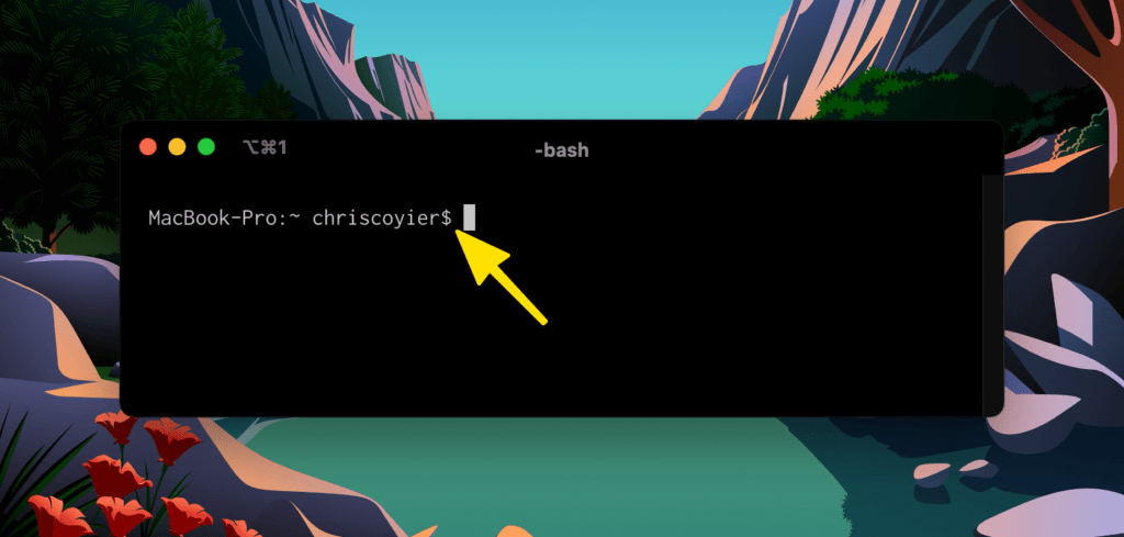 to-or-not-to-displaying-terminal-code-snippets