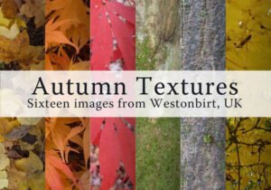 fall-background-images-to-use-in-your-projects