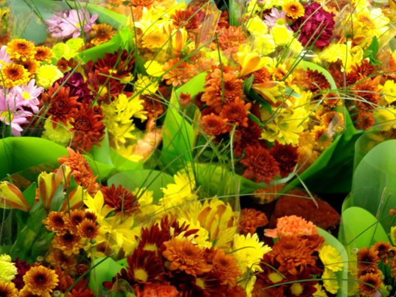 Fall-Floral-Bouquets-Texture-autumn-flowers Fall background images to use in your projects