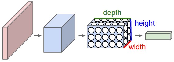 Convolutional Neural Network Architecture