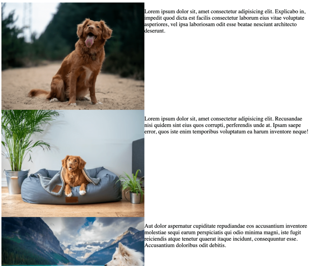 how-do-you-make-a-layout-with-pictures-down-one-side-of-a-page-matched-up-with-paragraphs-on-the-other-side