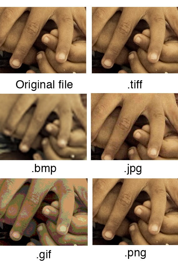 Understanding the Most Popular Image File Types and Formats
