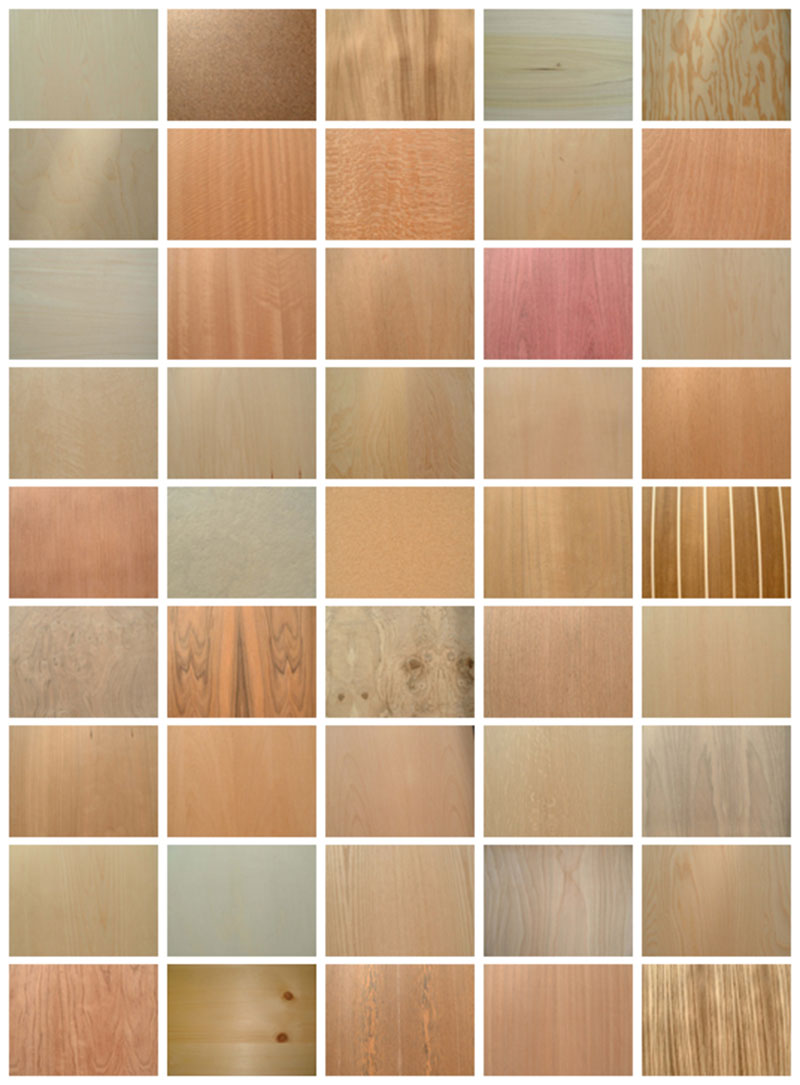 45-Wood-Textures-Mega-collection Free wooden background images and textures for design projects