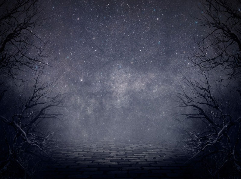 Creepy-Night-Forest-Fantasy-Background-Free-A-creepy-night Neat stars background images for stellar designs