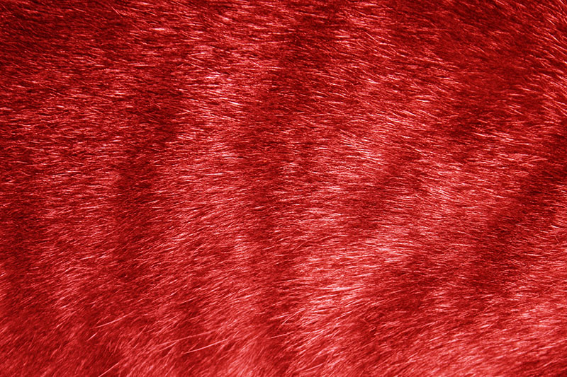 Red-Tabby-Fur-Texture-A-dangerous-fur Red background images and textures that you must download