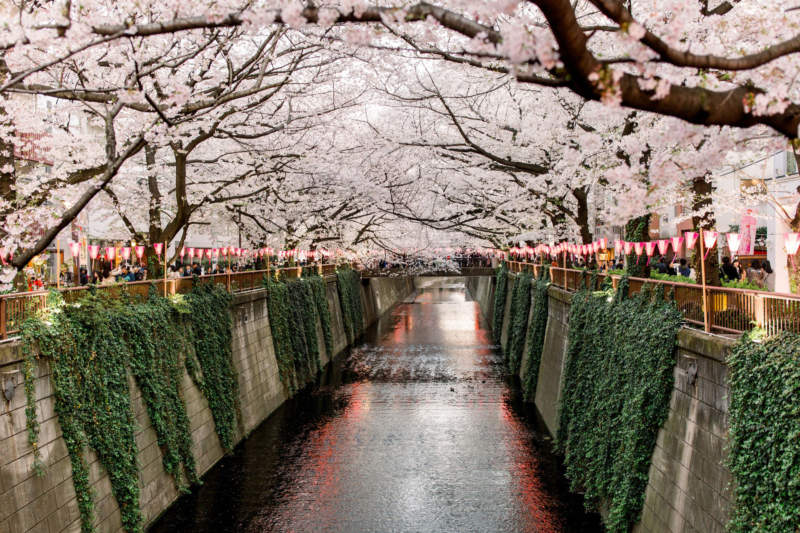 tok21-800x533 Beautiful Tokyo Wallpaper Images To Download Now