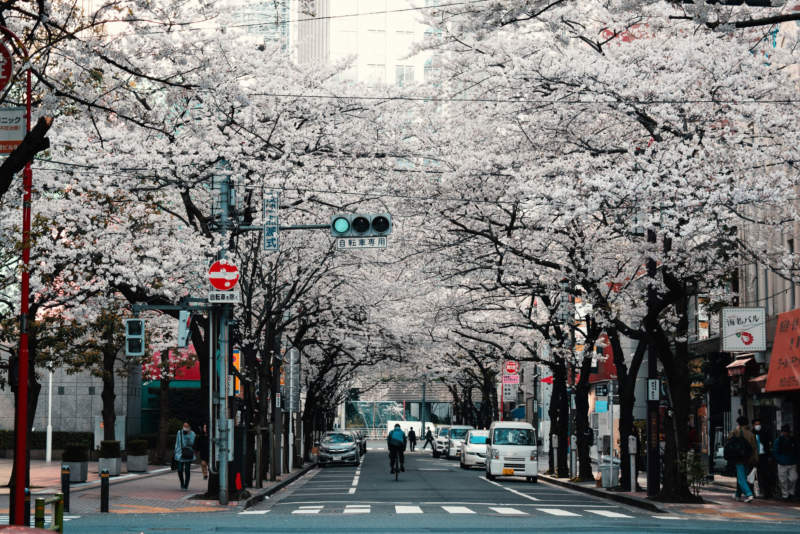 tok4-800x534 Beautiful Tokyo Wallpaper Images To Download Now