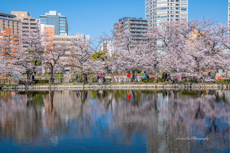 Wallpaper-of-Ueno-Park-and-Zoo Beautiful Tokyo Wallpaper Images To Download Now