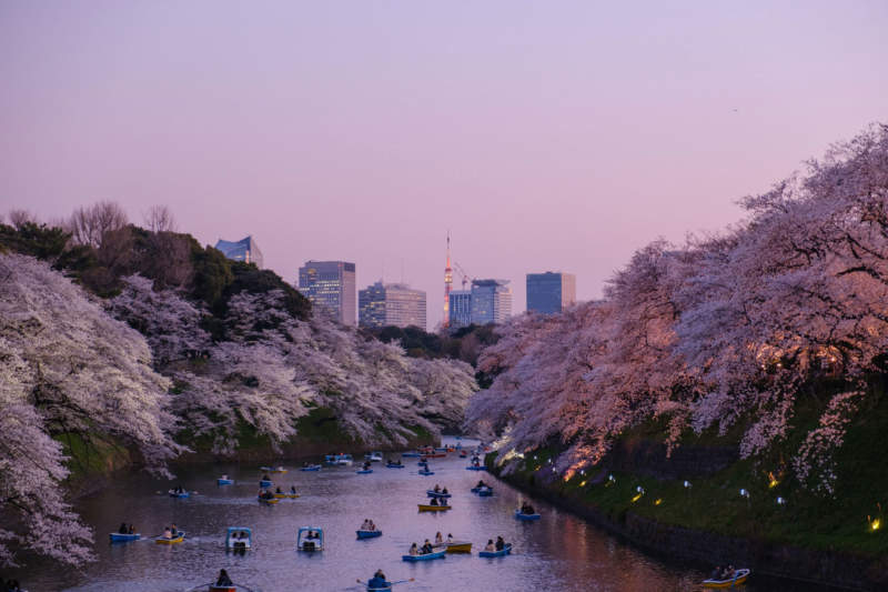 tok7-800x533 Beautiful Tokyo Wallpaper Images To Download Now