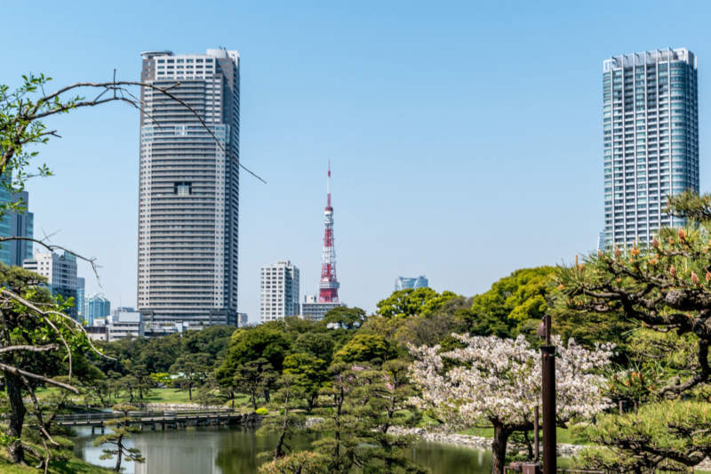 tok20-800x533 Beautiful Tokyo Wallpaper Images To Download Now