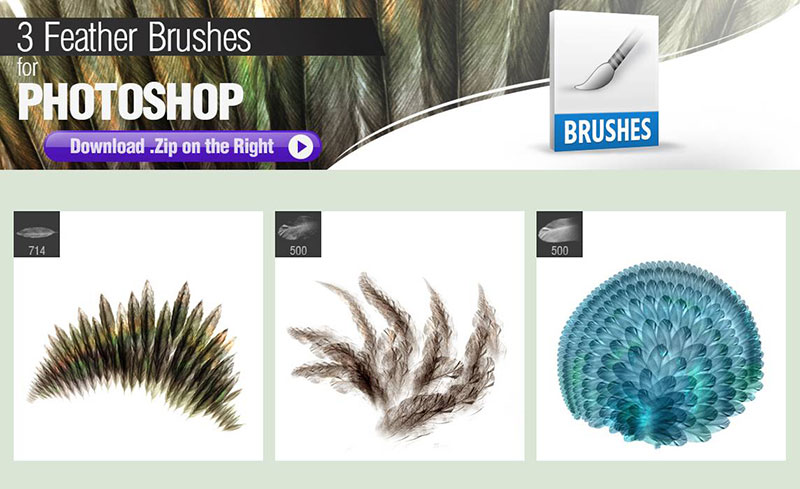 Photoshop-Brushes-for-Painting-Feathers-For-bird-fans Photoshop painting brushes to use for better designs