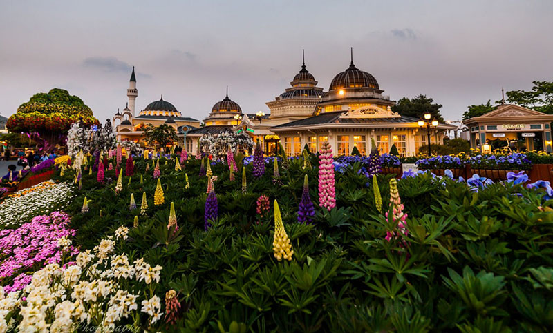 Everland-wallpaper Stunning Seoul Wallpaper Examples You Should Check Out