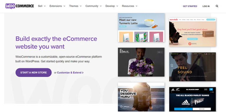 Top 3 Ecommerce Platforms For Your Online Store