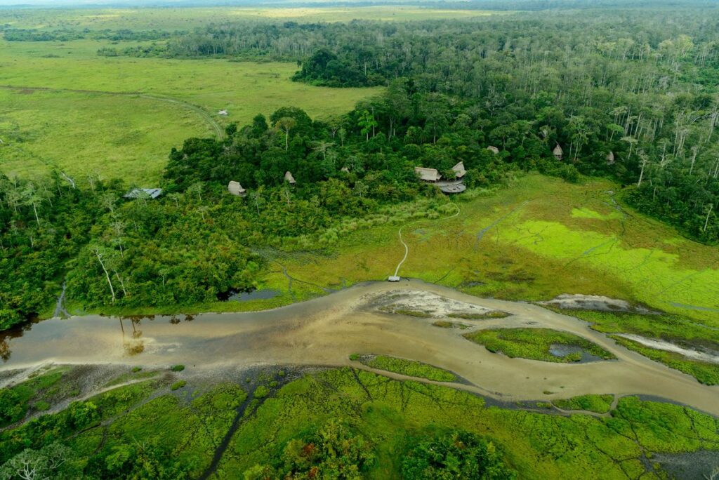 what-happens-when-billionaires-jump-on-the-biodiversity-bandwagon