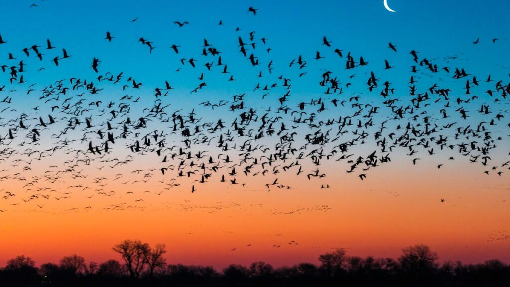 3-approaches-to-a-better-cloud-migration