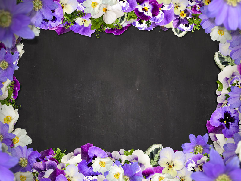 1Beautiful-Floral-Border-With-Purple-Flowers-Free-Background-A-frame-to-present-your-projects A great deal of spring background images to download