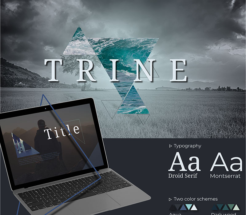 Trine-Template The best professional PowerPoint templates collection