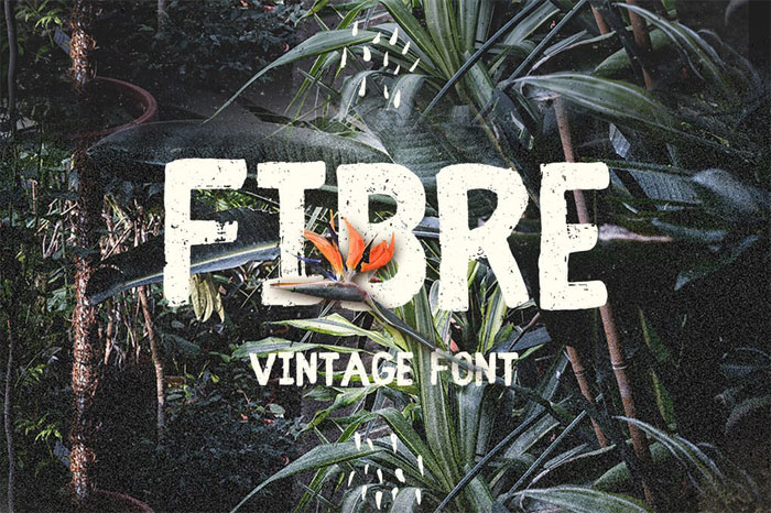 Fibre-Vintage-Font 90 FREE Retro and Vintage Fonts To Download