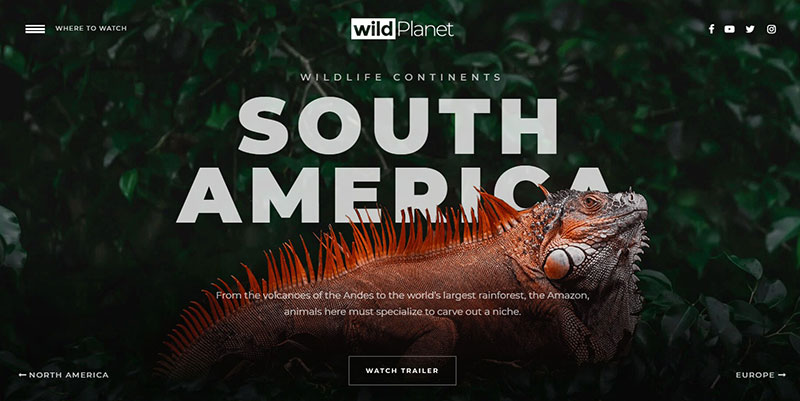 wildlife The best Slider Revolution templates to create a website with