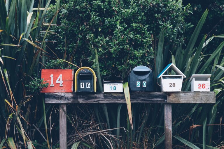 5 Reasons It’s Not Too Late to Start Your Email Newsletter