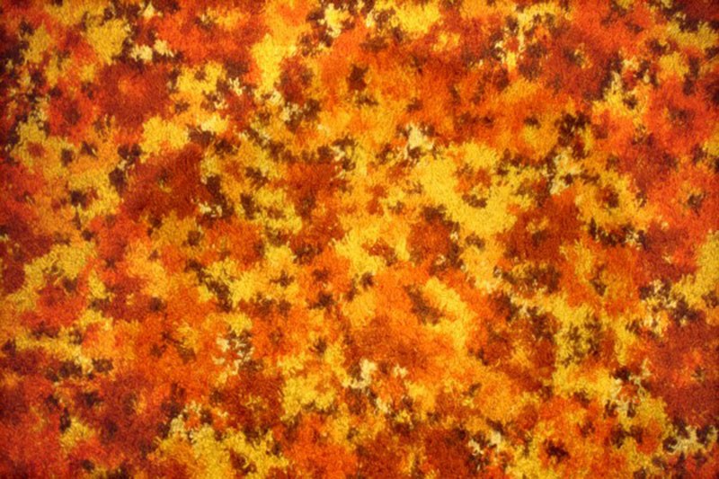 Orange-Floral-Carpet-Texture Floral background images that you must not miss