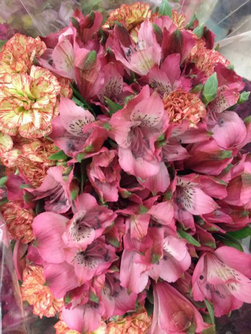 Pink-Alstroemeria-and-Carnations-Bouquet-Closeup-The-details-of-nature Floral background images that you must not miss