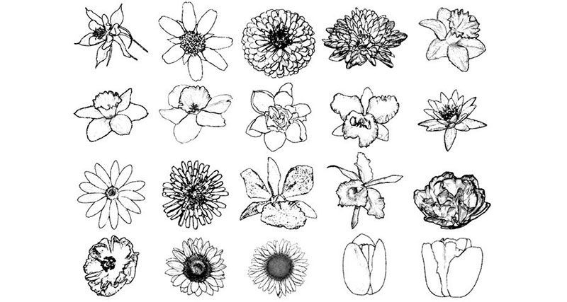 Ink-Drawing-Flower-Brushes-The-beauty-of-ink Photoshop flower brushes you should download today