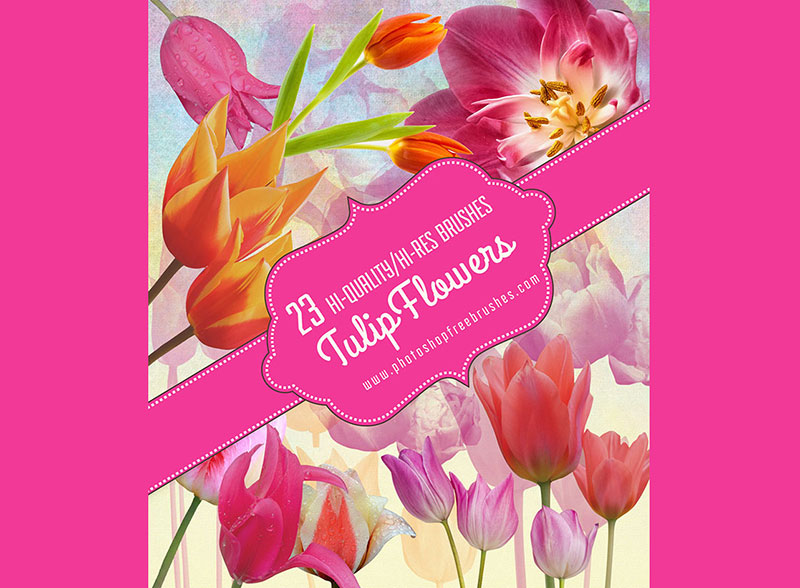 23-Free-High-Res-Tulips-Photoshop-Brushes-Tulips-for-all-tastes Photoshop flower brushes you should download today