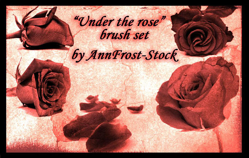 Under-the-rose-brush-set-Feelings-of-nostalgia Photoshop flower brushes you should download today