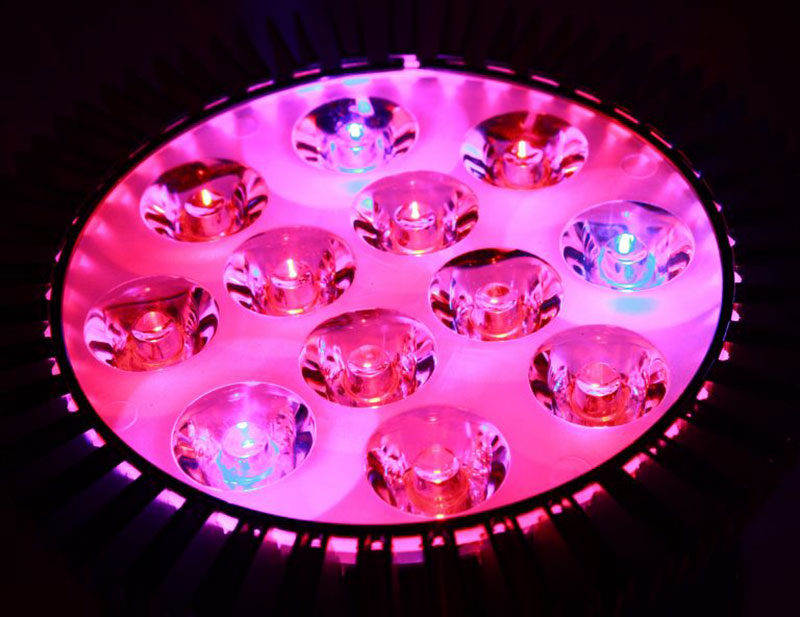 Pink-and-Blue-LED-Grow-Light-Psychedelic-lights Check out these light background images that you can have