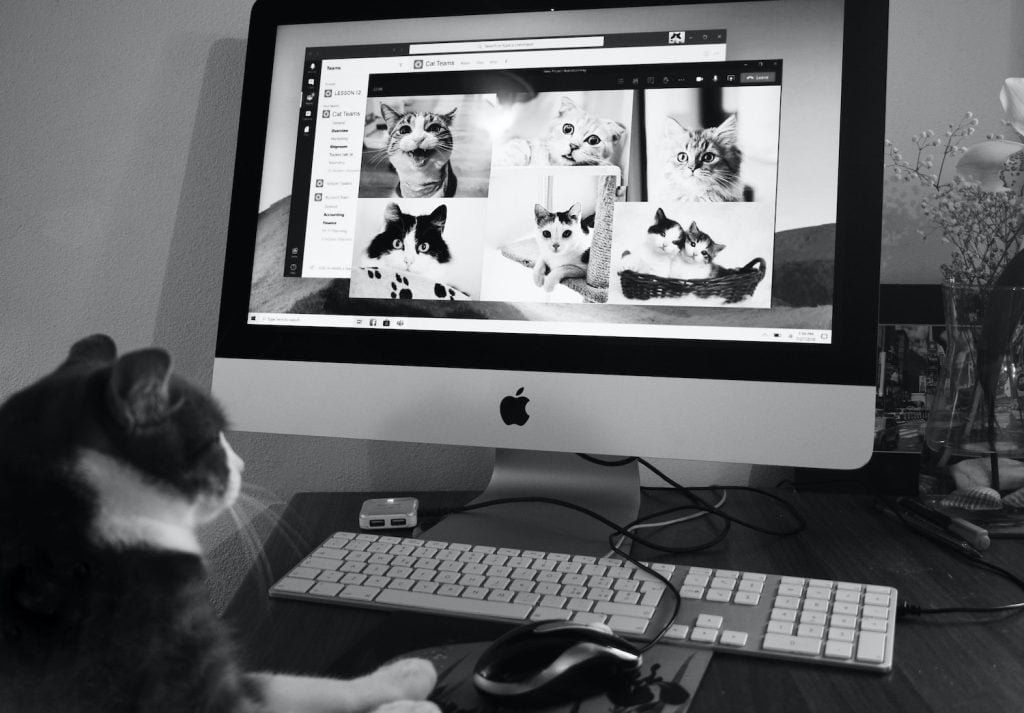 5-tips-to-train-your-remote-web-development-team