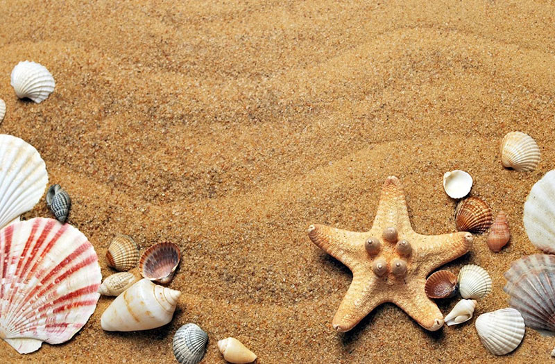 Texture-BeachSand-A-beautiful-view Beach background images that you can use for free