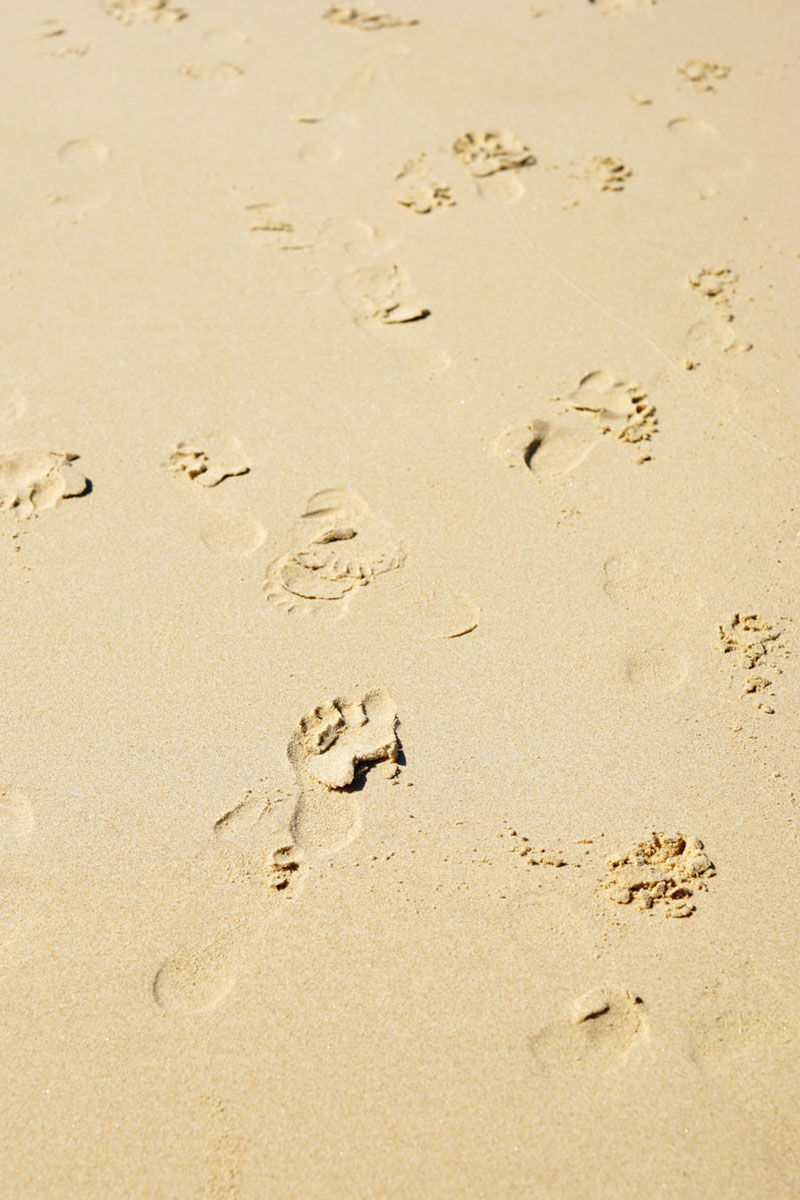 Sand-Beach-Texture-With-Footprints Beach background images that you can use for free
