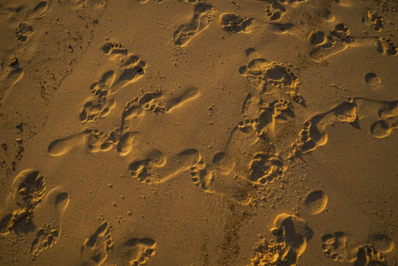 Sand-Beach-Texture-With-Footprint1-800x534 Beach background images that you can use for free