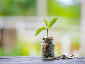 The Complete Guide to Seed Capital and Seed Funding